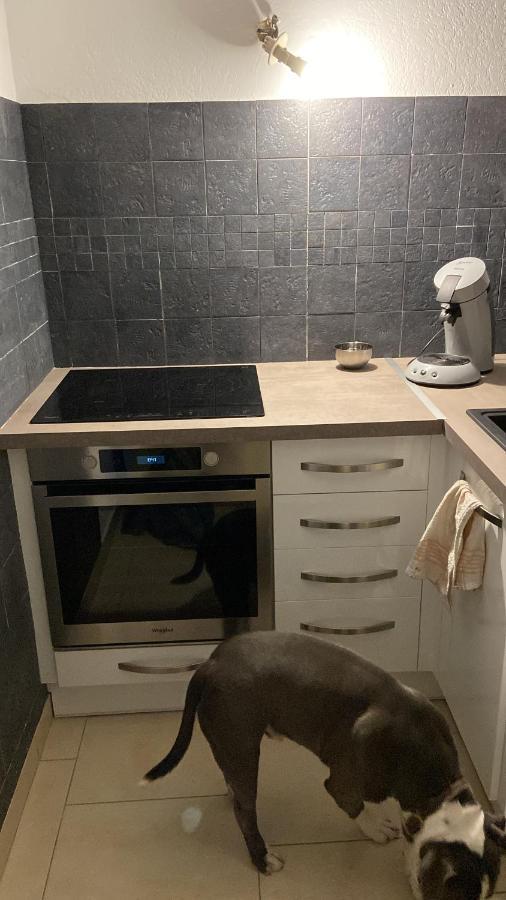 Appartement Cap D Agde Magnifique Vue Mer エクステリア 写真